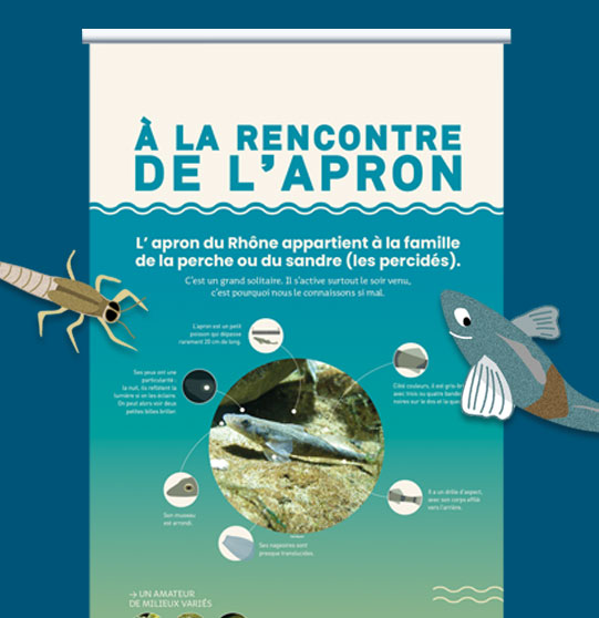 Création graphique de roll-up pour le Conservatoire d'espaces naturels